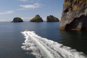1-Hour Small Group Sightseeing Boat Tour in Vestmannaeyjar - The 1-hour itinerary: rock formations, sea caves, and seabirds in one tight loop
