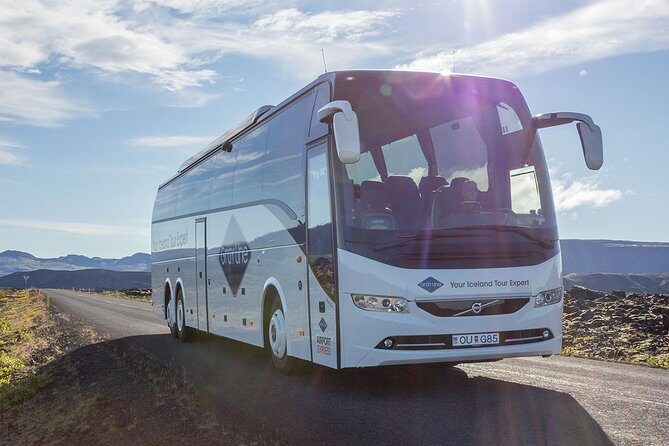 Airport Express Shared Arrival Transfer from Keflavik Airport to Reykjavik City - The Ride Itself: Comfortable Coaches and Onboard Wi‑Fi