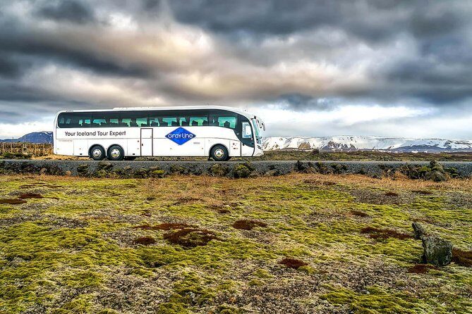 Airport Express Shared Departure Transfer from Reykjavik Hotels to Keflavik Airport - Pickup Rules in Reykjavik: Hotel Stops, Bus Stops, and the 30-Minute Clock