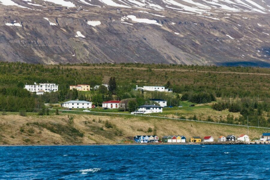 Akureyri: 3-Hour Classic Whale Watching Tour by Ship - Who Should Book This Tour (and Who Might Think Twice)