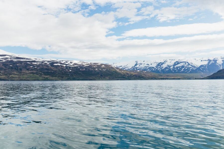 Akureyri: 3-Hour Classic Whale Watching Tour by Ship - Online Whale Diary + Wi‑Fi: Turning a Cruise Into Live Tracking