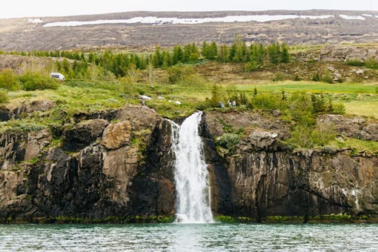 Akureyri: 3-Hour Classic Whale Watching Tour by Ship - Inside a High-Speed Whale Watching Boat (and How to Get the Best Views)