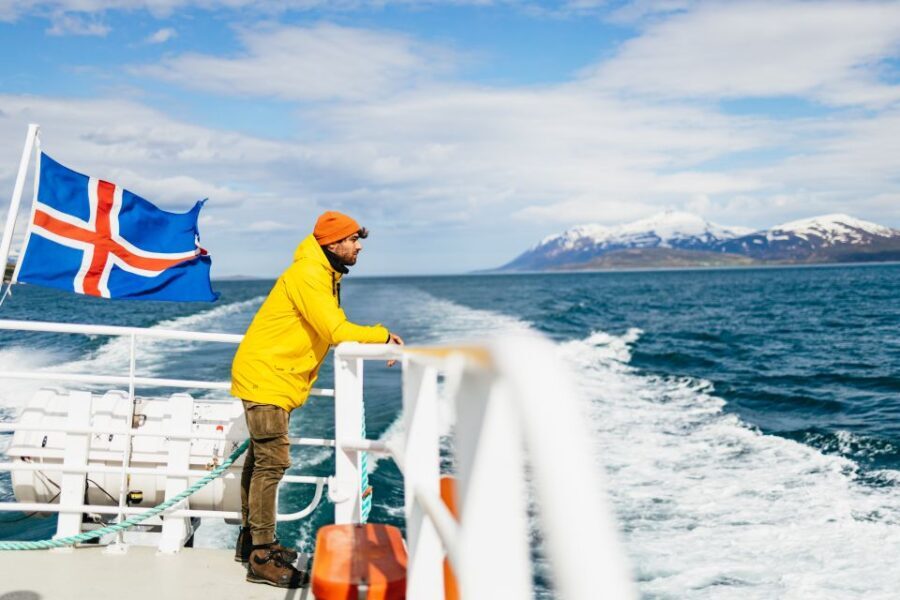 Akureyri: 3-Hour Classic Whale Watching Tour by Ship - Price and Value: What $108 Buys You in Akureyri