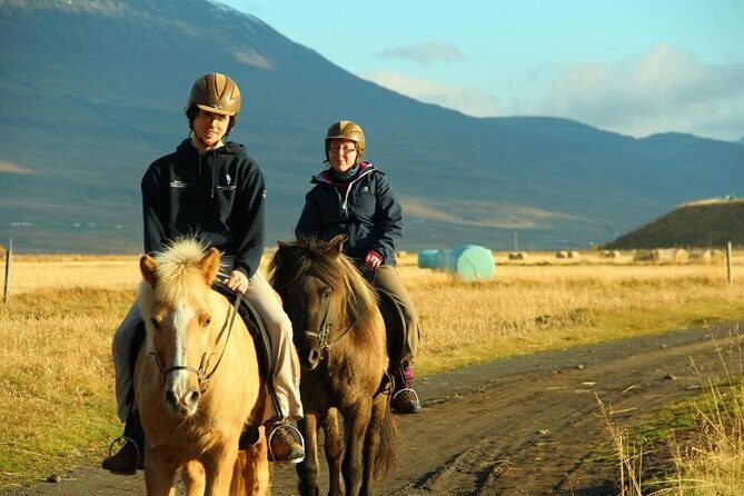 Family Friendly Horse Riding Tour in Skagafjörður - Meeting at Hestasport: Getting Oriented Before You Mount
