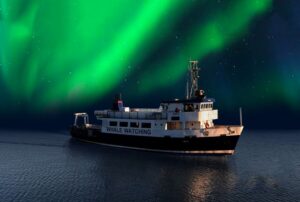 From Reykjavik: Northern Lights Sightseeing Cruise - Getting There at Old Harbour House (and What a Smooth Start Looks Like)