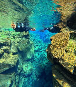 From Reykjavík: Silfra Snorkeling with free photos - Silfra Snorkeling at Þingvellir: the two-continent idea is the real hook