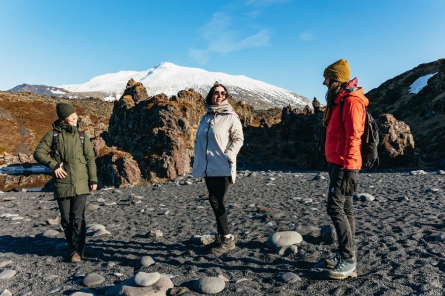 From Reykjavik: Snæfellsnes Peninsula Full-Day Tour - Meeting points and timing: plan for a real pickup shuffle