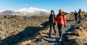 From Reykjavik: Snæfellsnes Peninsula Full-Day Tour - Borgarnes break: where the day resets