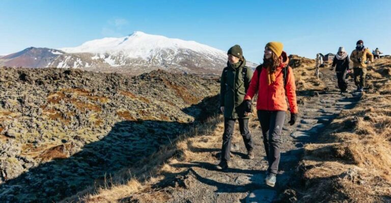 From Reykjavik: Snæfellsnes Peninsula Full-Day Tour - Borgarnes break: where the day resets