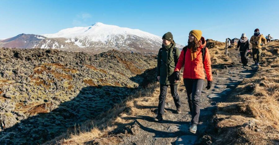 From Reykjavik: Snæfellsnes Peninsula Full-Day Tour - Borgarnes break: where the day resets
