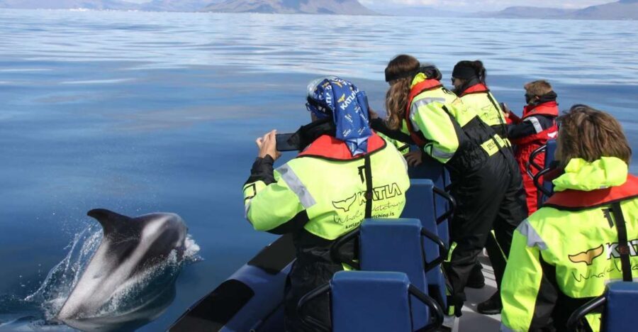 From Reykjavik: Whale Watching Tour by Speedboat - Meeting at Ægisgarður 5G: the small logistics that keep it smooth