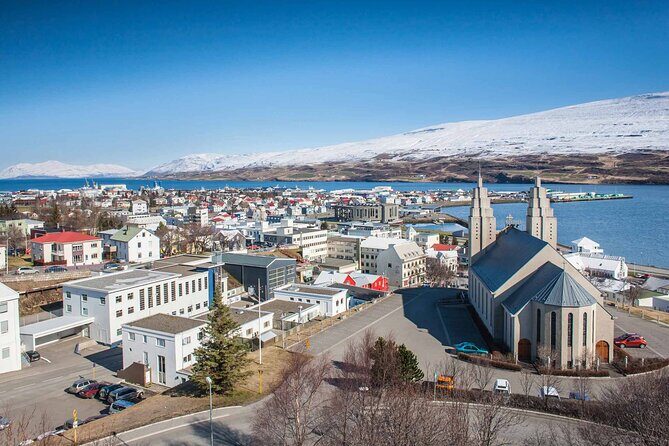 Goðafoss Waterfall from Akureyri Port - The snack stop at Hotel Goðafoss: warm, timed well, and included