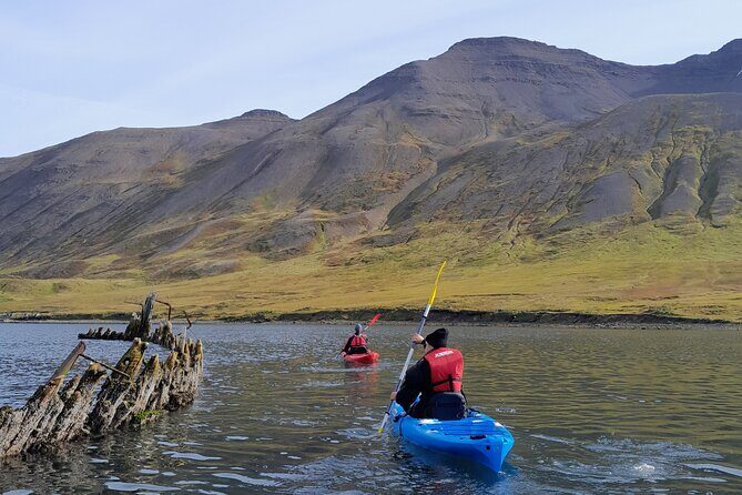 Guided kayak tour in Siglufjörður / Siglufjordur. - Paddling the Sigló Fjord: The Route and What You’ll See