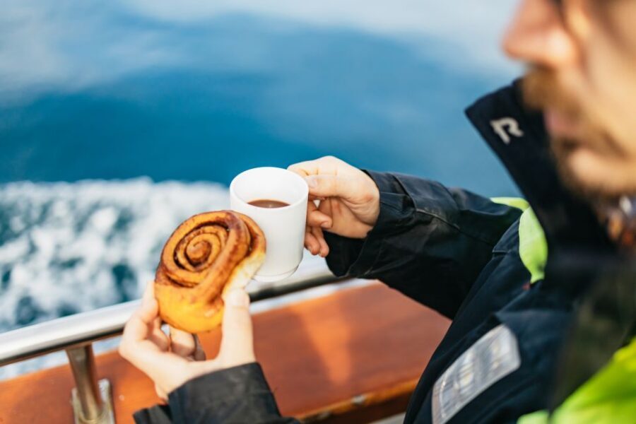 Húsavík: Whale Watching Tour with Guide - Should you book this North Sailing whale watch in Húsavík?