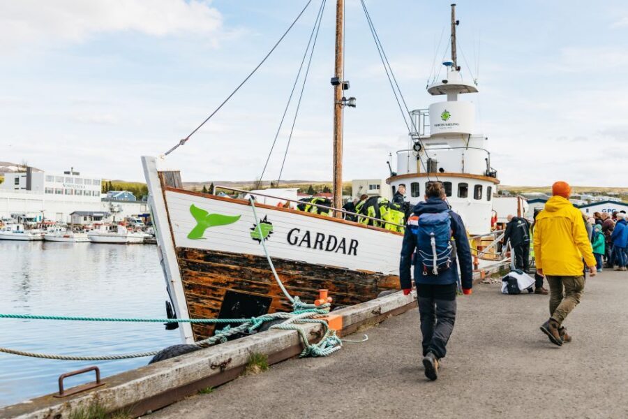 Húsavík: Whale Watching Tour with Guide - Your guide matters: live commentary and real-world whale spotting tips