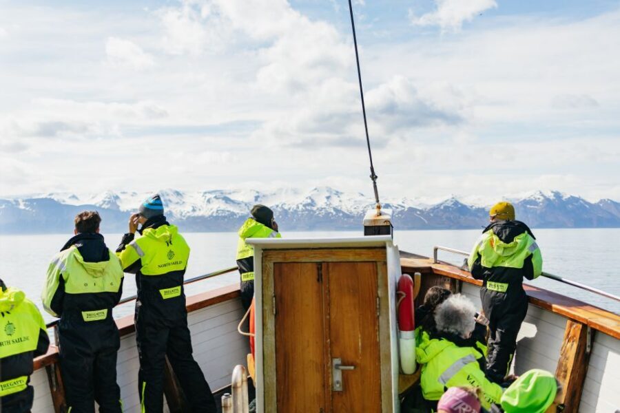 Húsavík: Whale Watching Tour with Guide - Who this whale watching tour suits best