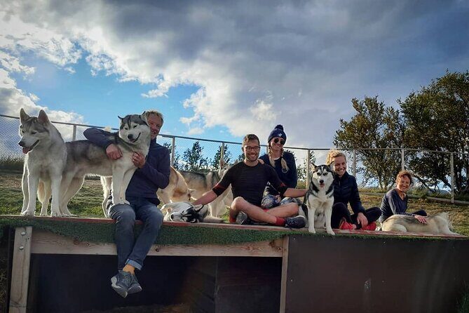 Husky Petting in Akureyri (private) - The hour with the huskies: cuddles, kisses, and photos you’ll want to keep