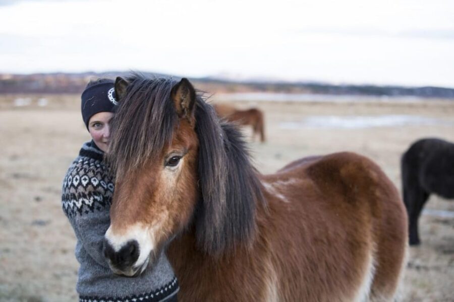 Hveragerdi: Countryside Charm Horse Riding Tour - What It Costs ($96): Short Tour Value and When It’s a Great Deal