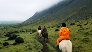 Hveragerdi: Reykjadalur (Hotspring Valley) Horse Riding Tour - What the 2-hour experience looks like once you arrive