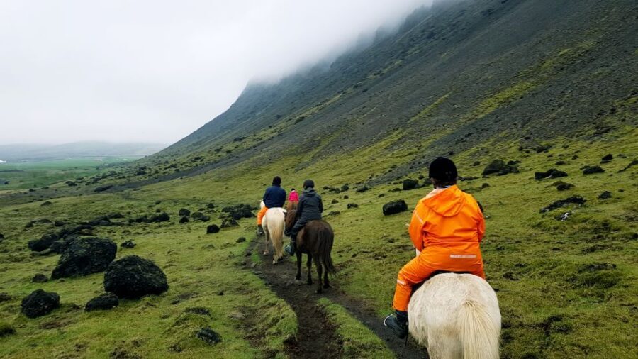 Hveragerdi: Reykjadalur (Hotspring Valley) Horse Riding Tour - What the 2-hour experience looks like once you arrive