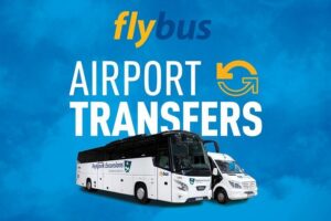 Iceland: Airport Transfers between Keflavik and Reykjavik Hotels - Reykjavík Drop-Off at BSÍ Bus Terminal: The Two-Step Transfer You Should Plan For