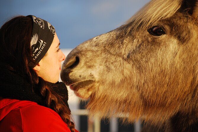 Icelandic Horse Riding and Whale Watching Tour from Reykjavik - Íshestar stables and Icelandic horses: tölt, lava ground, and safety gear