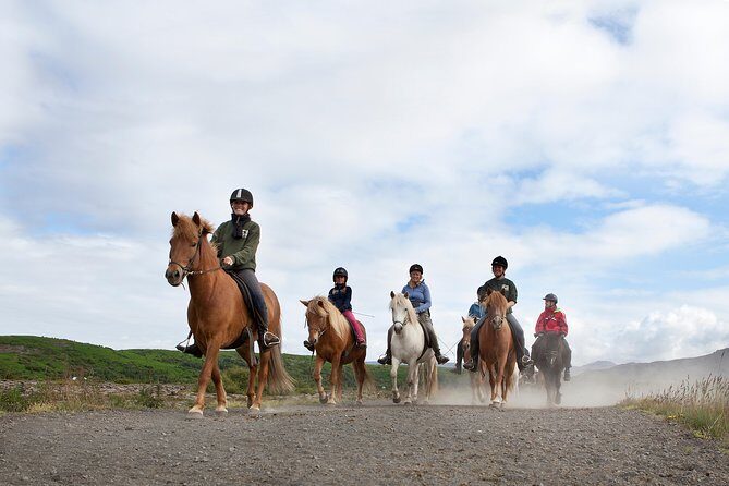 Icelandic Horseback Riding Tour with Pickup Option from Reykjavik - At the Stables: Gear Up, Mount Without Drama, and Get Sorted