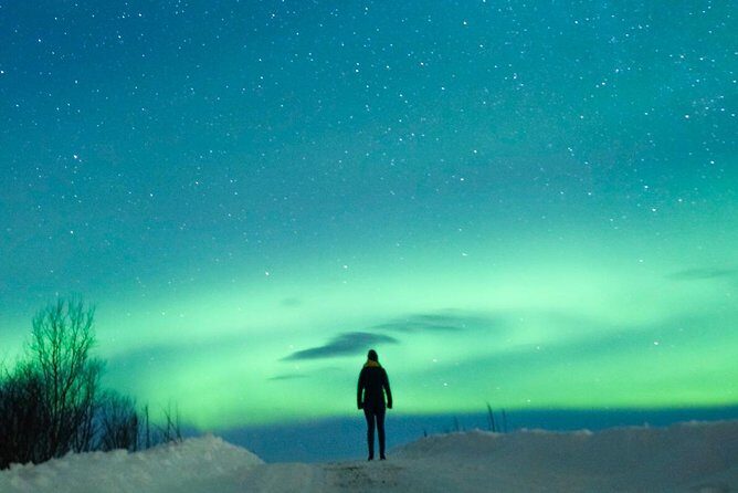 Northern Lights Bus Tour from Reykjavik with Hot Chocolate - Guides Make or Break the Night