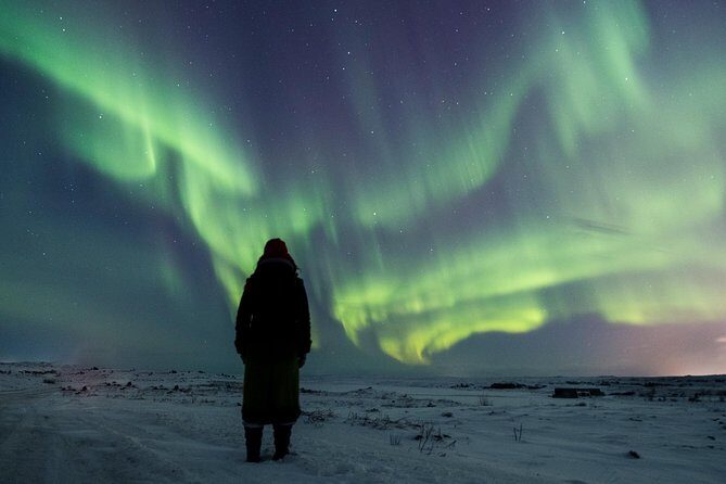 Northern Lights Small Group Tour from Reykjavik with Free Photos - What Happens When the Aurora Actually Shows Up