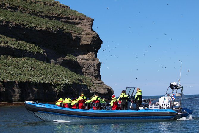 Original Big Whale Safari & Puffins Speedboat Tour from Húsavík - Weather Reality: When the Sea Changes the Plan