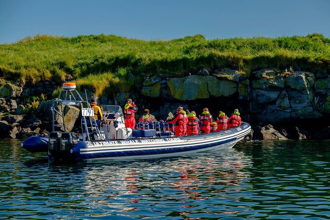 Premium Small-Group Puffin & Bird Watching tour from Reykjavík - Gear, Warmth, and Photo Reality: What’s Included and What to Bring