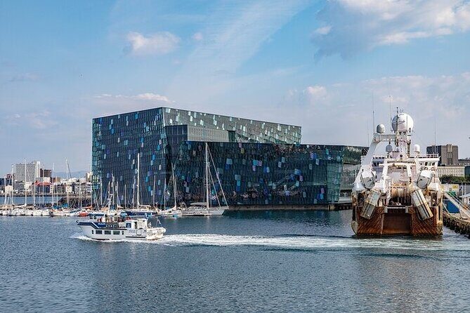Private Transfer: Reykjavik Cruise Ports to hotels in Reykjavik - Reliability check: what might go wrong, and how you avoid it