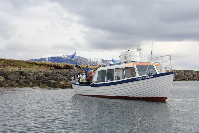 Puffin Cruise with Expert Tour Guide from Reykjavik - The one-hour itinerary: how the captain finds birds and why engines-off matters