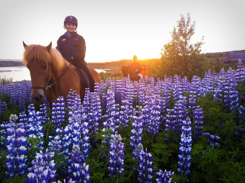 Reykjavik: Evening Sleipnir Horse Riding Tour with Pickup - Pickup Timing and Your First Steps Into the Saddle