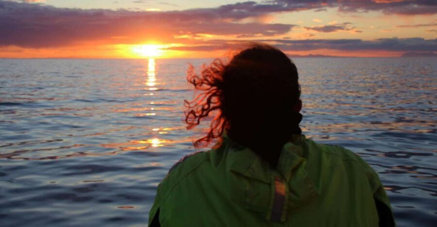 Reykjavík: Midnight Sun Whale Watching Cruise - The 9 PM Departure and How Your Hunt for Whales Actually Works