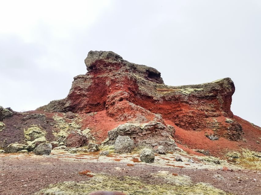 Reykjavik: Red Lava Horse Riding Tour - The Real Timing: From Pickup to Saddles (Without Wasting Your Day)