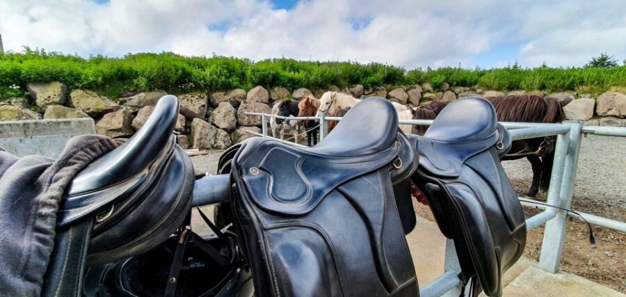 Reykjavik: Red Lava Horse Riding Tour - Safety, Horse Temperament, and the One Reality Check