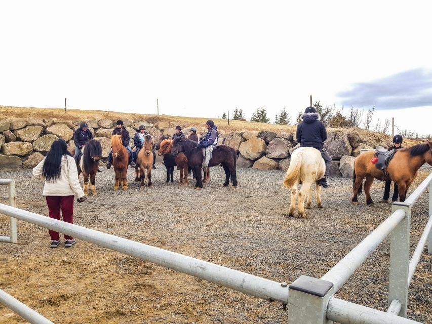 Reykjavik: Red Lava Horse Riding Tour - Who This Tour Fits Best (And Who Might Skip It)