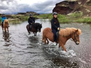 Reykjavik: Small-Group Horse Volcano Riding Tour with Pickup - Hotel Pickup at 9:30: Start Easy, Not Frazzled