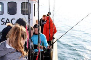 Reykjavik: Traditional Sea Fishing with BBQ Feast - From Old Harbor to Open Water: Your 3-Hour Flow