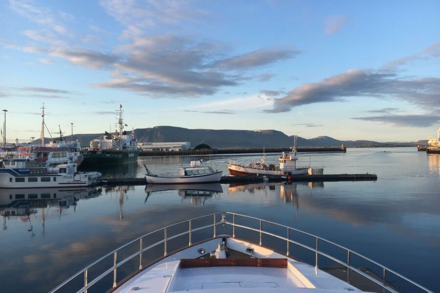 Reykjavik: Whale Watching and Dolphin Watching Yacht Cruise - MY Harpa vs MY Amelia Rose: where you stand makes a difference