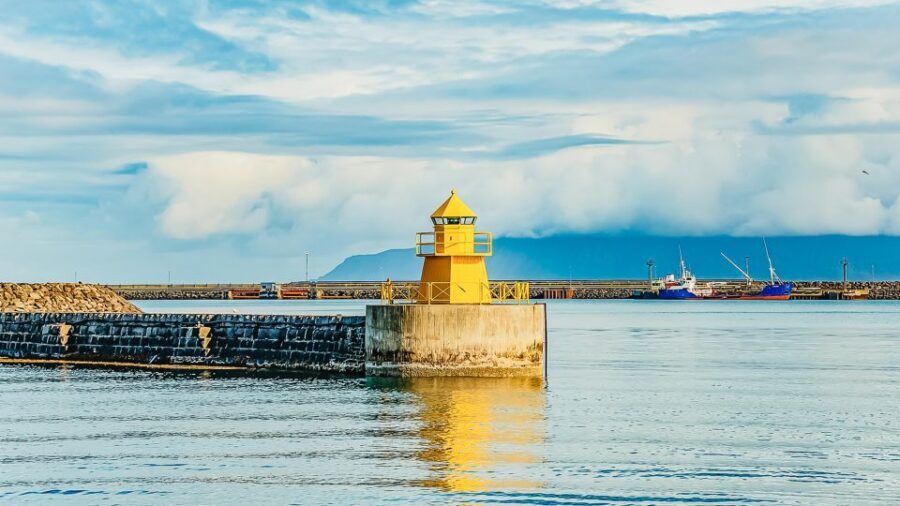 Reykjavík: Whale Watching and Marine Life Cruise - Respectful Distance: Why Your Chances Can Improve When They Care