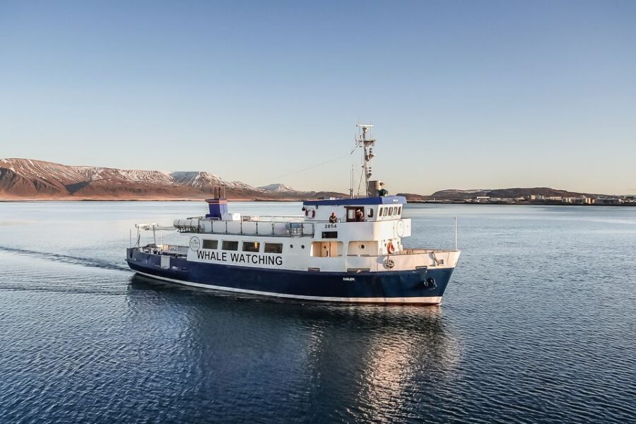 Reykjavík: Whale Watching and Marine Life Cruise - Faxaflói Bay Is a Whale Spotting Shortcut From Reykjavík
