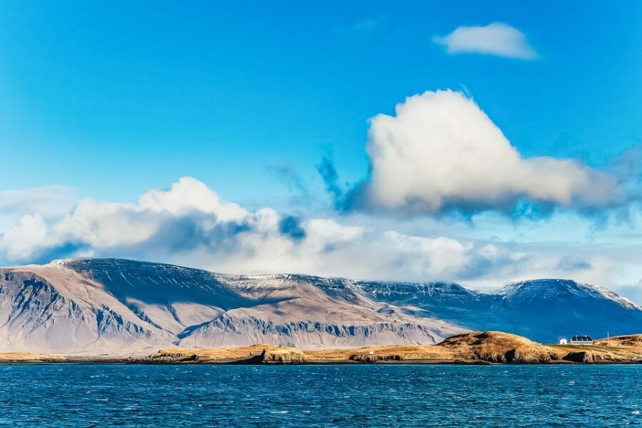Reykjavík: Whale Watching and Marine Life Cruise - The 3-Hour Cruise Rhythm: How You Spend Your Time at Sea