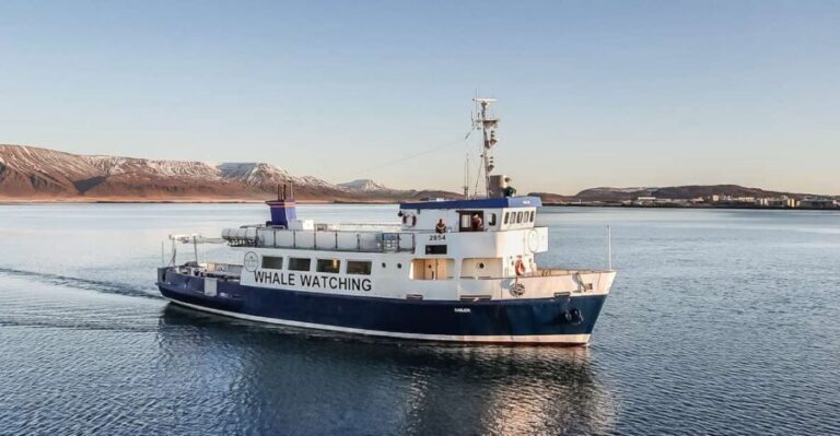 Reykjavík: Whale Watching and Marine Life Cruise - Getting on Board: Check-In That Moves Quickly