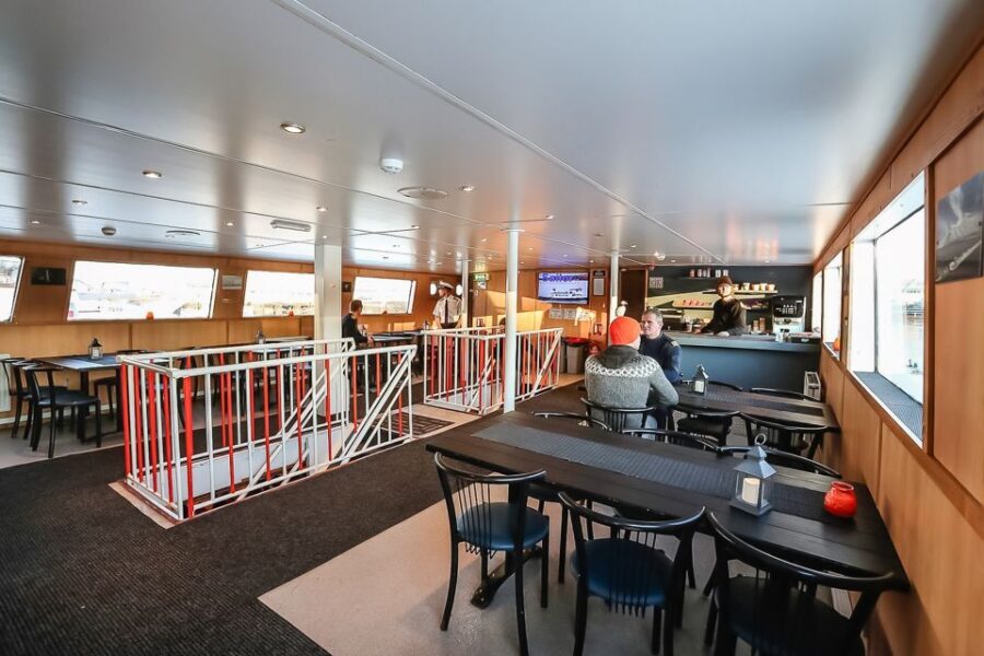 Reykjavík: Whale Watching and Marine Life Cruise - The Onboard Bar and Snacks: Planning Around What’s Included