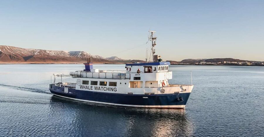 Reykjavík: Whale Watching and Marine Life Cruise - Getting on Board: Check-In That Moves Quickly