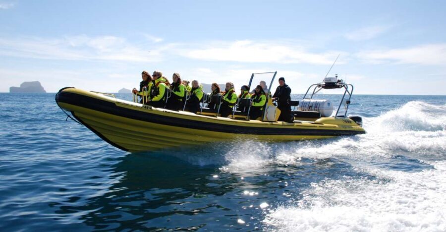 Reykjavik: Whale Watching by RIB Speedboat - The Old Harbor start: your first Iceland views from the water