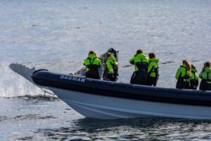 Reykjavik: Whale Watching Tour by RIB Boat - Meeting at Aegisgardur 5E: where you check in and how the tour starts
