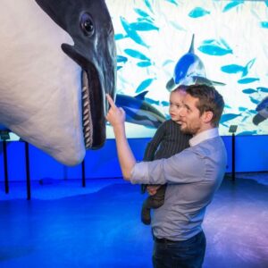 Reykjavik: Whale Watching Tour, Whales of Iceland Exhibition - From Old Harbor to the open water: the boat ride reality check